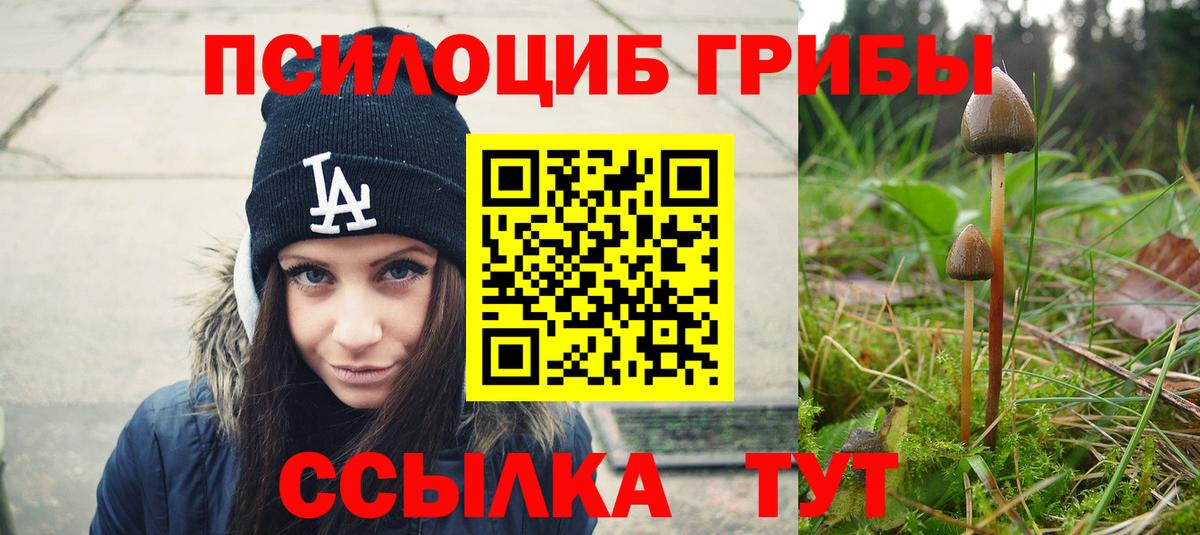 Псилоцибиновые грибы GOLDEN TEACHER Киреевск
