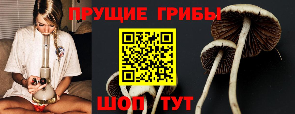Киреевск  дарнет шоп  Вход с VPN  Псилоцибиновые грибы Magic Shrooms 